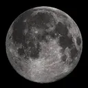 MOONCOIN