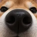 NINU