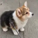 LILBATMAN