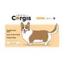 CORGIS