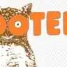 HOOTERS