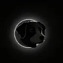 UMBRADOG