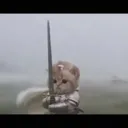 CATWIFSWOR