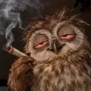 WEHOOO