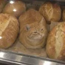 BCAT
