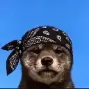 NI