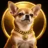 DOGGY