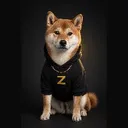 ZINU