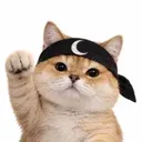 NICAT