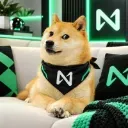 NEARDOGE