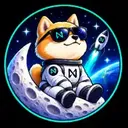 NMOON