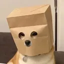 ZDOG