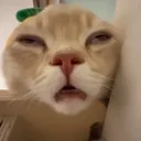 LCAT