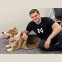 DOGILLIA