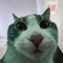 NAT