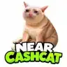 NCASHCAT