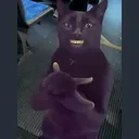 CLAPCAT